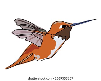 Kolibri in durchgehender Linie, gezeichnet auf weißem Hintergrund.