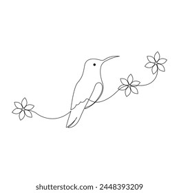 Hummingbird Continuous one line drawing illustration art vector design