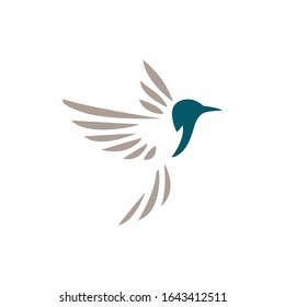 hummingbird corporate logo. Bird icon design