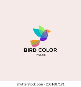 Hummingbird, Creative, digital abstract logo and colorful bird icons