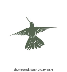 Hummingbird design vector illustration, Creative Hummingbird logo template, icon symbol