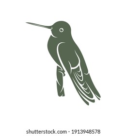 Hummingbird design vector illustration, Creative Hummingbird logo template, icon symbol