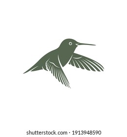 Hummingbird design vector illustration, Creative Hummingbird logo template, icon symbol