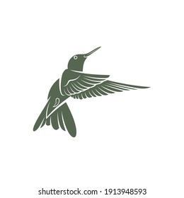 Hummingbird design vector illustration, Creative Hummingbird logo template, icon symbol