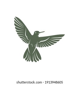 Hummingbird design vector illustration, Creative Hummingbird logo template, icon symbol