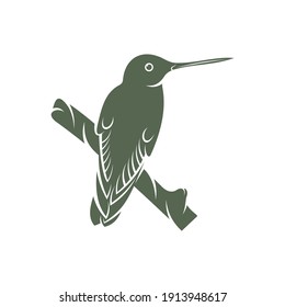 Hummingbird design vector illustration, Creative Hummingbird logo template, icon symbol