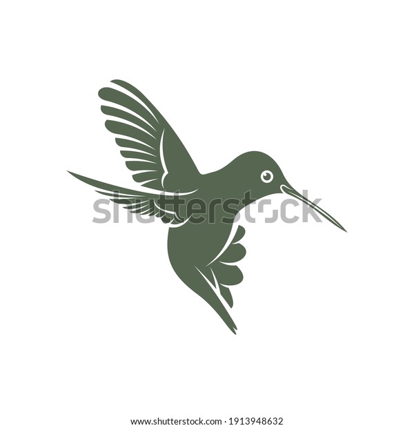 Hummingbird Design Vector Illustration Creative Hummingbird Stock ...