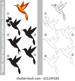 Hummingbird with different shadows to find the correct one, compare and connect object with it true shadow, the educational kid game with simple gaming level.
