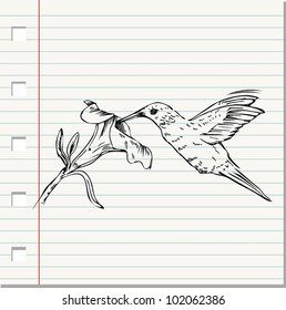 hummingbird doodle