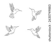 Hummingbird editable  vector set  1