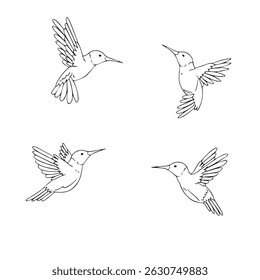 Hummingbird editable  vector set  1