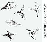 Hummingbird editable  vector set  2