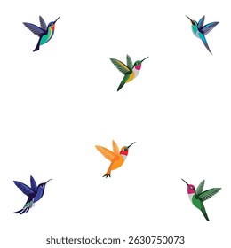 Kolibri editierbarer Vektorsatz 7