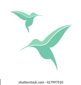 Hummingbird. Exotic birds on white background. Vector illustration 