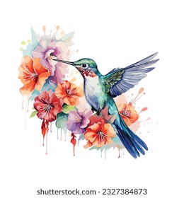 Hummingbird with exotic tropical tlower design, jungle plants, bird and flowers, humming bird watercolor vector isolated background