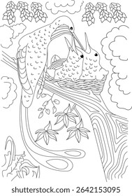 Hummingbird Feeding Chicks in Nest - Line Art, Black and white line drawing illustration of a mother hummingbird feeding her baby chicks in a nest on a tree branch. Detailed outline style suitable