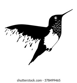 Hummingbird in flight. Black and white