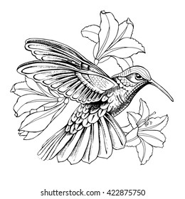 Hummingbird in flight with flowers. Vector illustration.