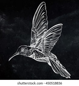 Hummingbird in flight.Detailed drawing of a bird.handmade.Vector illustration isolated on  black background