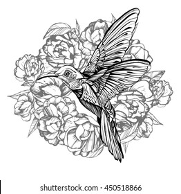 Hummingbird in flight.Detailed drawing of a bird.handmade.Vector illustration isolated on white background,in flowers