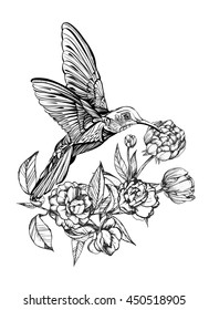 Hummingbird in flight.Detailed drawing of a bird.Vector illustration isolated on white background,in flowers.handmade
