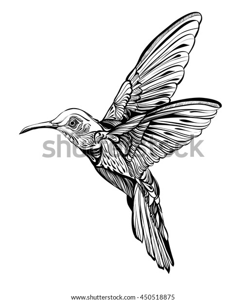 Colibri En Vol Dessin Detaille D Un Oiseau Illustration Image Vectorielle De Stock Libre De Droits
