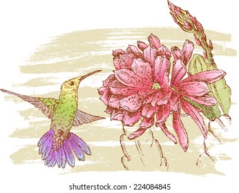 Hummingbird and flower