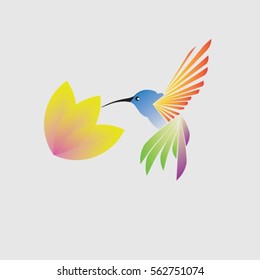 Hummingbird with flower