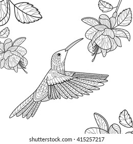 Hummingbird Flower Coloring Book Adults Vector Stock Vector (Royalty ...