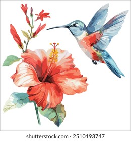 Hummingbird com design de flor, vetor aquarela isolado fundo