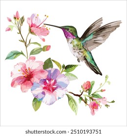 Hummingbird with flower design, watercolor vector isolated background