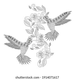 Hummingbird flower doodle monochrome coloring page art design stock vector illustration for web, for print
