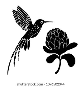 Hummingbird and flower. Hand drawn black silhouettes isolated on white background set