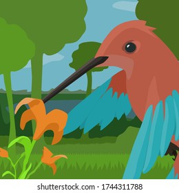 Hummingbird with flower, nature scene close up, color vector illustration, horizontal
