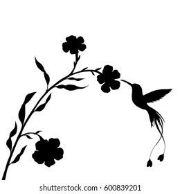 hummingbird and flower silhouettes, hand drawn flying bird, isolated vector element