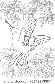 Hummingbird and Flowers Line Art, Outline illustration of a hummingbird flying among tropical flowers and leaves. Ideal for coloring pages, nature-themed designs, or wildlife illustrations. Black