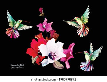 Hummingbird with flowers. Set of three birds isolated on black. Hand drawn, watercolor illustration. Design elements. Vector - stock.