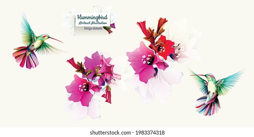 Hummingbird with flowers. Set of two birds isolated on white. Hand drawn, watercolor illustration. Design elements. Vector - stock.