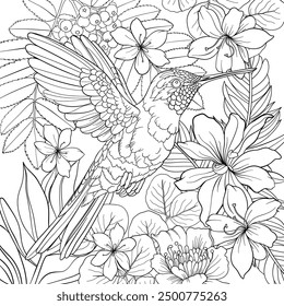 Hummingbird with flowers, vector outline, colouring page design