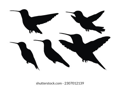 Hummingbird flying in different positions, silhouette set vector. Small hummingbird silhouette collection on a white background. Beautiful birds and fowl, full body silhouette bundles.