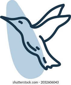 Volador de colibrí, ilustración, vector, sobre fondo blanco.