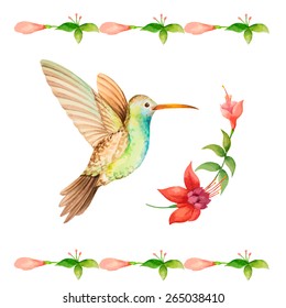 Hummingbird flying over a flower fuchsia, watercolor, vector illustration.