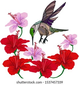 A Hummingbird flying over the flowers of hibiscus element design