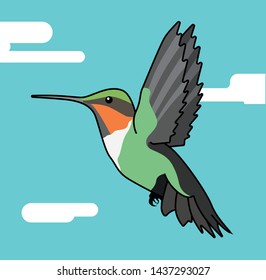 Hummingbird flying with the sky and the clouds behind. Flat style vector illustration.