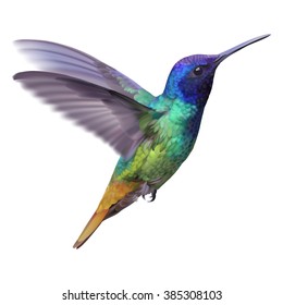 Hummingbird - Zafiro dorado.
Ilustración vectorial dibujada a mano de un colibrí de zafiro dorado volador con colorido y brillante plumaje sobre fondo transparente.

