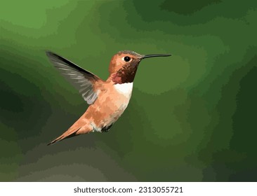Hummingbird in the green forest vector