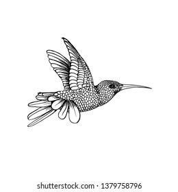 Hummingbird Hand Drawing Vectorink Isolated On Stock Vector (Royalty ...