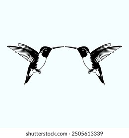 Hummingbird. Hand drawn vector illustration. Isolated on white background.