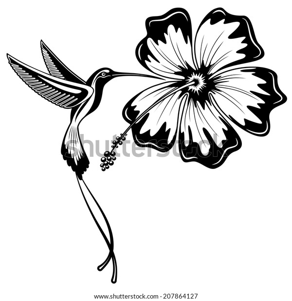 Hummingbird Hibiscus Tattoo Stock Vector (royalty Free) 207864127