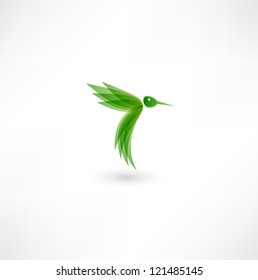 Hummingbird icon